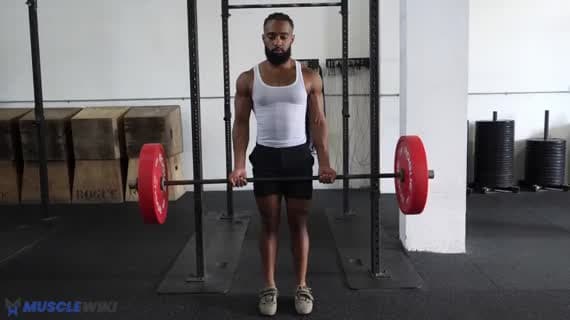 Drag curl à la barre