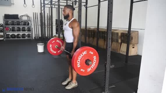 Drag curl à la barre
