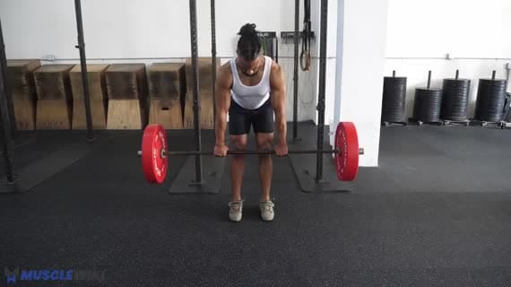 شراگ با هالتر Silverback