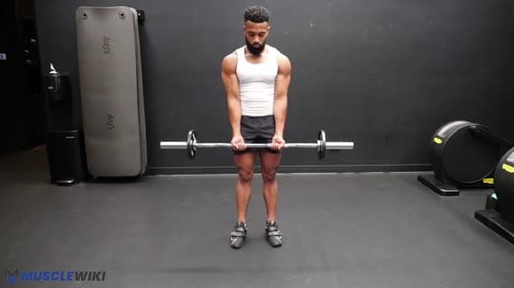 Curl serré à la barre EZ