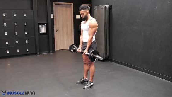 Curl serré à la barre EZ