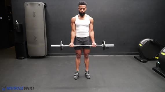 Curl à la barre EZ