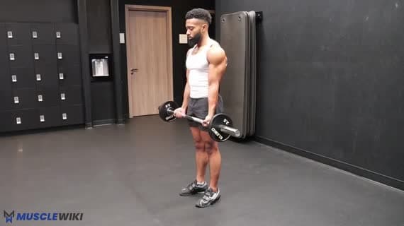 Curl à la barre EZ