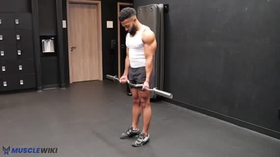 Curl traîné à la barre EZ