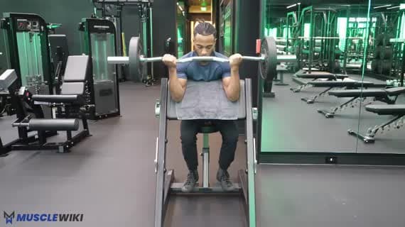 Curl Pupitre à EZ Barre