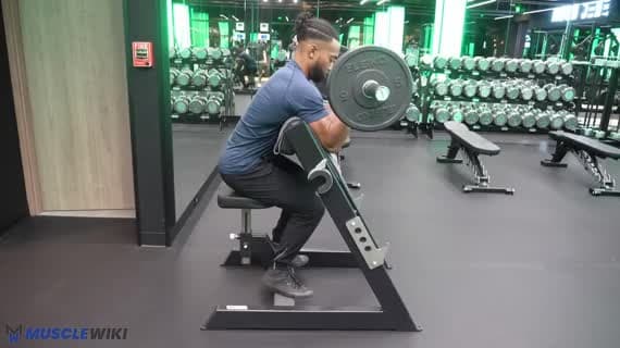 Curl Pupitre à EZ Barre