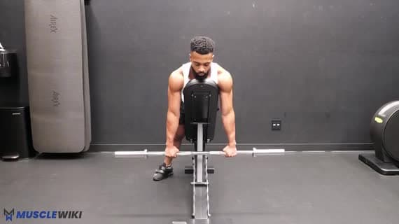 Ez Bar Reverse Spider Curl