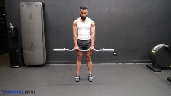 EZ Bar Romanian Deadlift