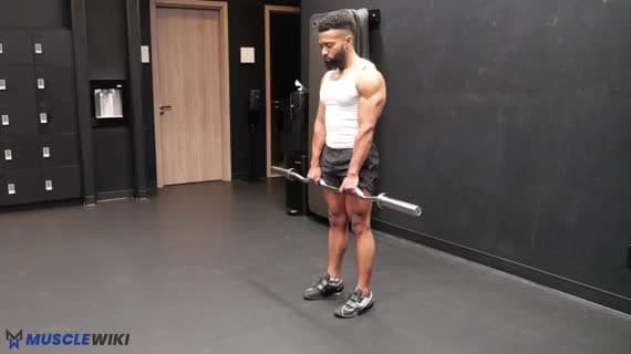 EZ Bar Romanian Deadlift