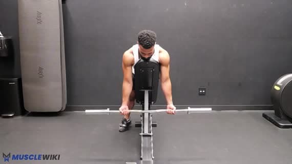 Ez Bar Spider Curl