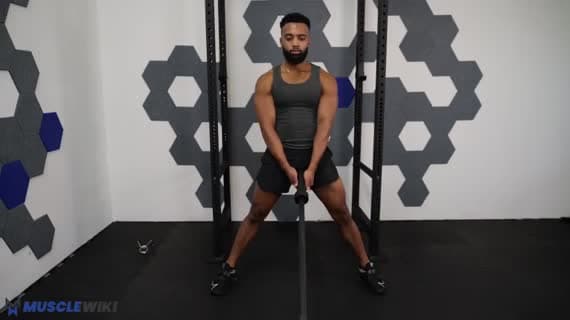 Landmine Cossack Squat