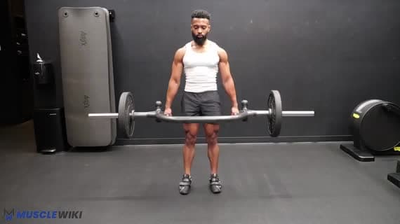 Trap Bar Romanian Deadlift