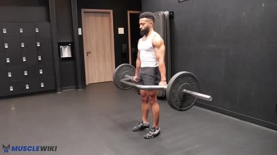 Trap Bar Romanian Deadlift