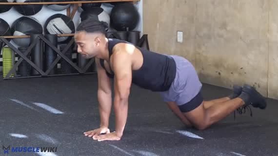 Flexiones Diamante Con Rodillas Apoyadas (Peso Corporal)