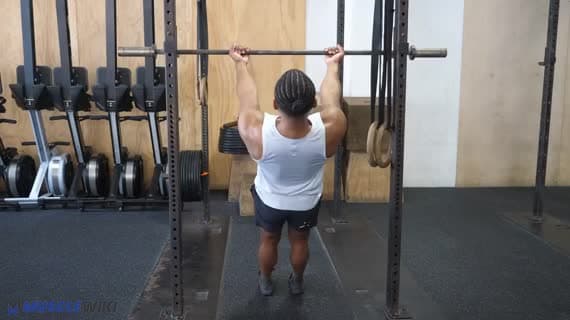 Curl Invertito a Corpo Libero