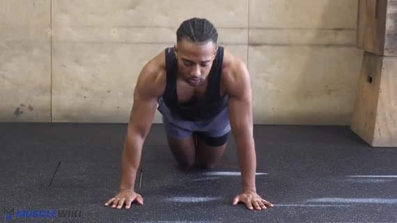 Flexiones De Rodillas (Peso Corporal)