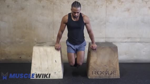 Kutuda Dips