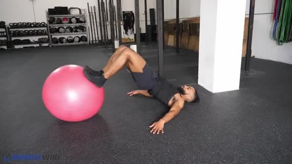 Stabilitätsball-Beinbeugen