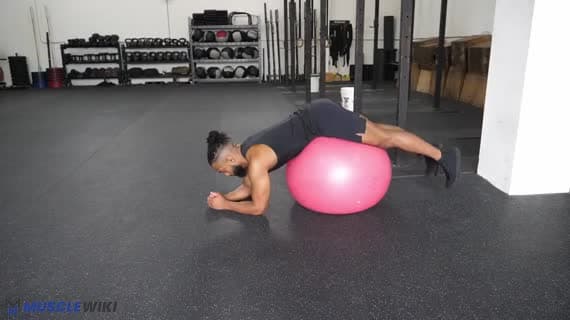 Stabilitätsball Reverse-Hyperextension