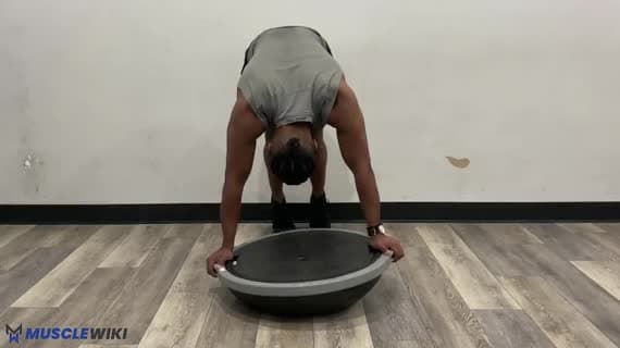 Bosu Ball पाइक श्रग