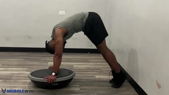 Bosu Ball पाइक श्रग