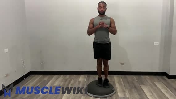 Bosu Ball रिवर्स लंज