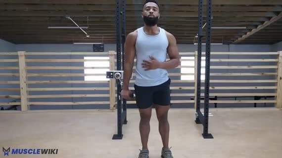 Einarmiger Reverse-Curl am hohen Kabelzug