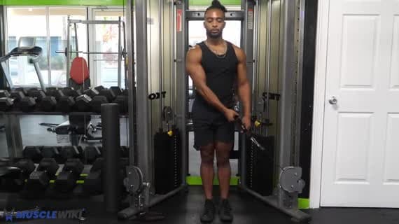 Cable Low Single Arm Lateral Raise