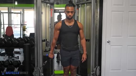 Einarmiger Reverse Curl am Kabelzug