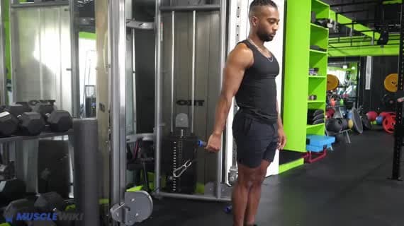 Einarmiger Reverse Curl am Kabelzug