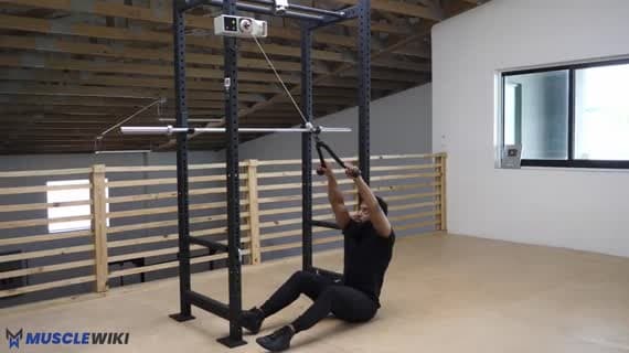Oturarak Halat Face Pull