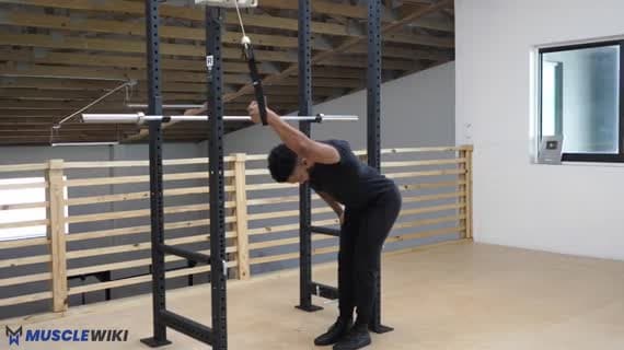Cable Single Arm Lat Prayer
