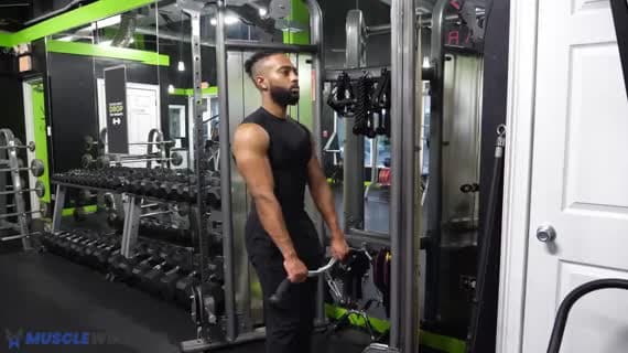 Cable Upright Row