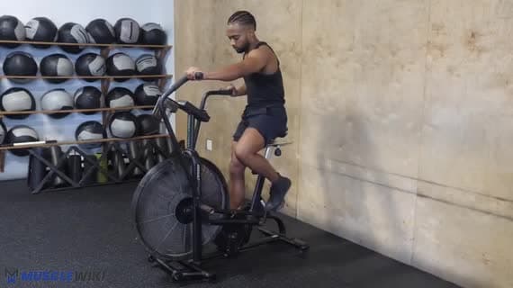 کاردیو Assault Bike