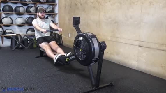 روئینگ کاردیو (Erg Rower) — فقط بازوها