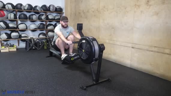 Remata cardio (vogatore) - solo gambe