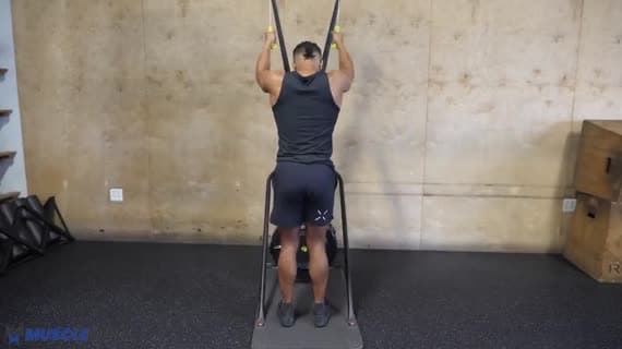 Cardio Ski Erg