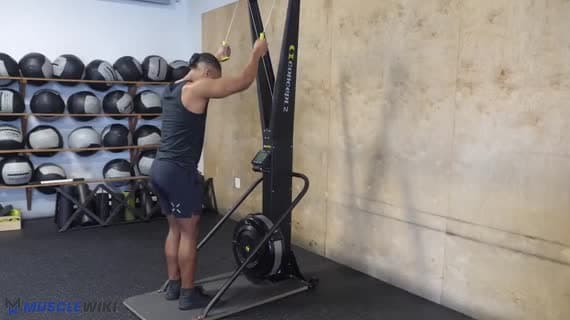 Cardio Ski Erg