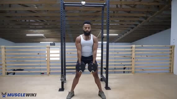 Dumbbell Hang Clean And Press