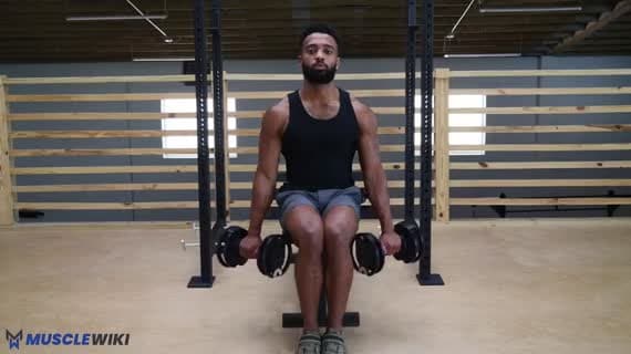 Sitzender Reverse-Curl mit Kurzhanteln