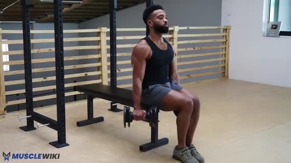 Sitzender Reverse-Curl mit Kurzhanteln
