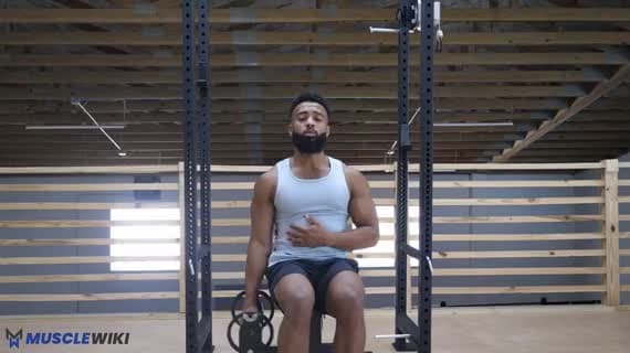 Elevación Lateral Completa Sentado con Mancuerna (Unilateral)