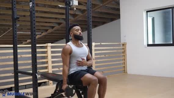 Elevación Lateral Completa Sentado con Mancuerna (Unilateral)