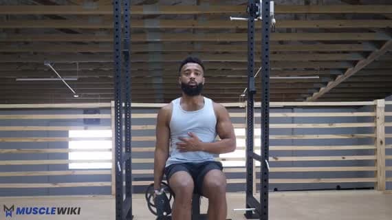 Elevación lateral unilateral con mancuerna (sentado)