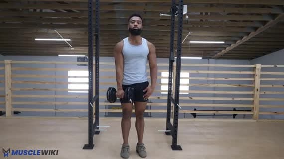Stehender einarmiger Reverse-Curl mit Kurzhantel