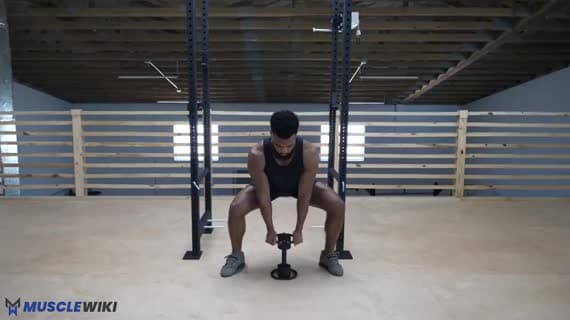 Sumo squat con manubrio
