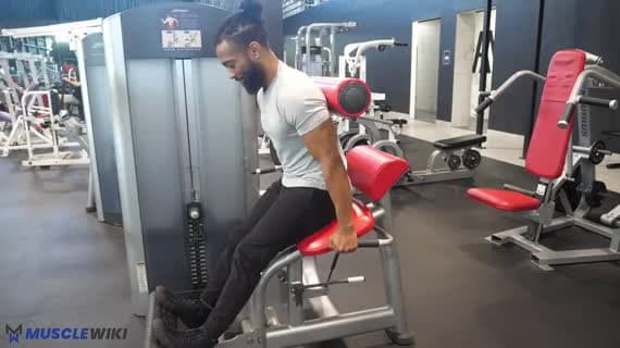 Extension du dos à la machine