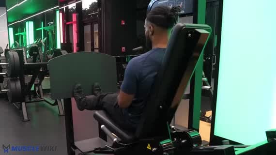 Machine Horizontal Leg Press Calf Raise