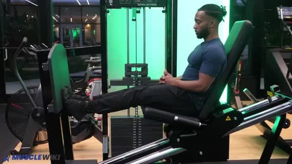 Machine Horizontal Leg Press Calf Raise