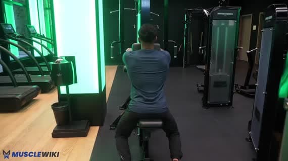Machine de tirage inversé pour les deltoïdes